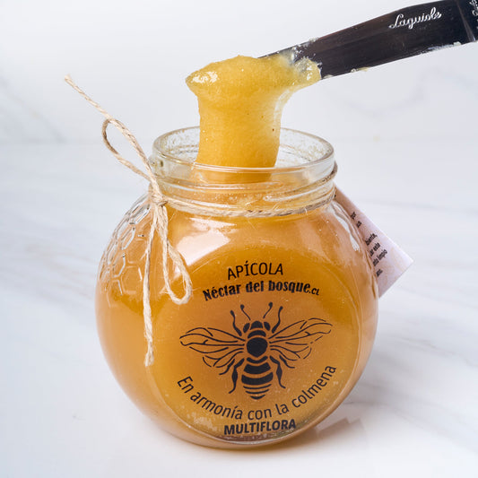 Miel de Abejas de Alta Pureza 500 gr. - Vida Bake